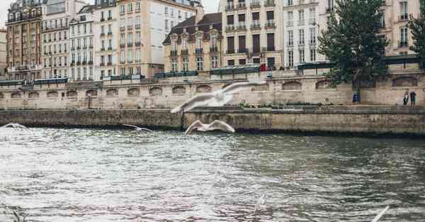大数据判断数据变化趋势（大数据判断数据变化趋势分析）