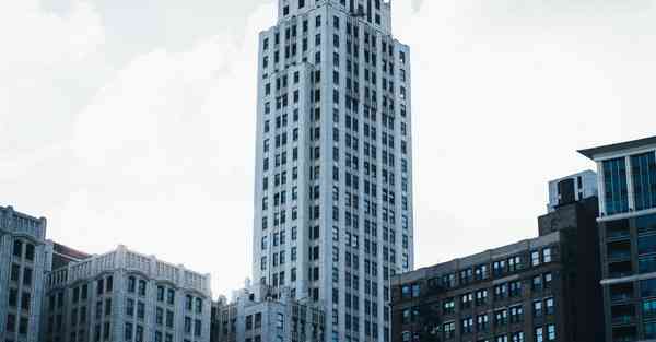 外国语单招大数据的行业文章