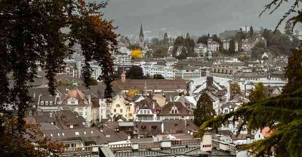 外国语单招大数据的行业文章