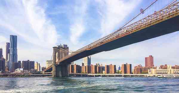 学习智能机器人外形和功能