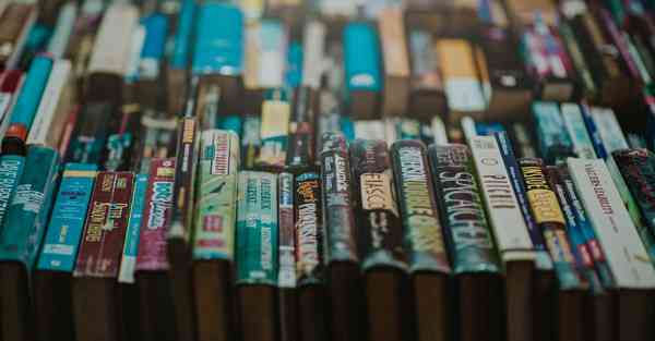 外国语单招大数据的行业文章