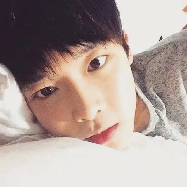澹台振丽育