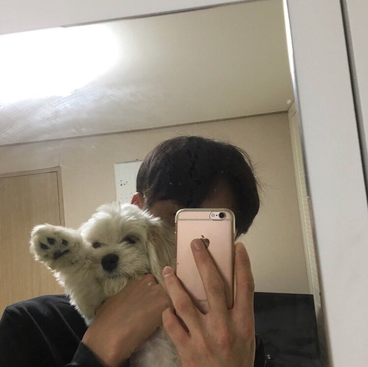 张妍苑凡