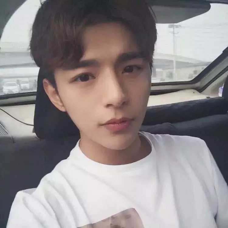 宣翔鸣琛