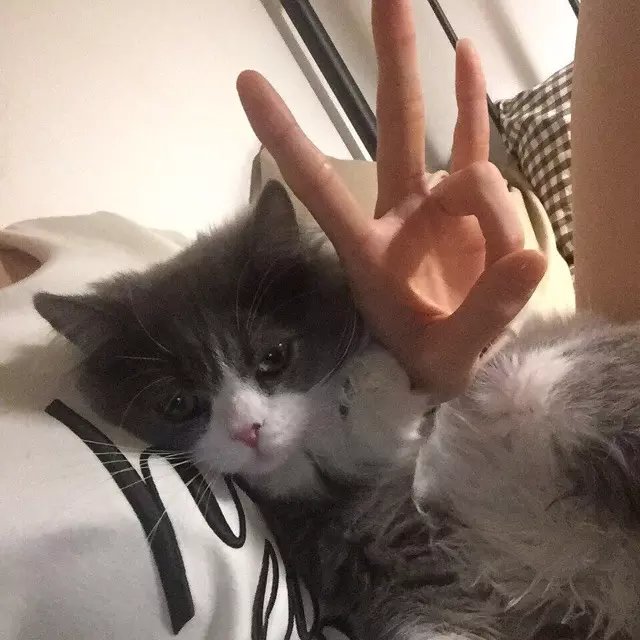 苏以瑶永
