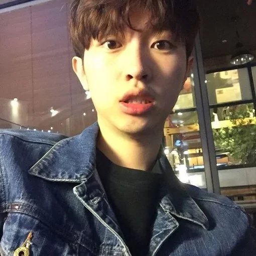 金霭仁洋