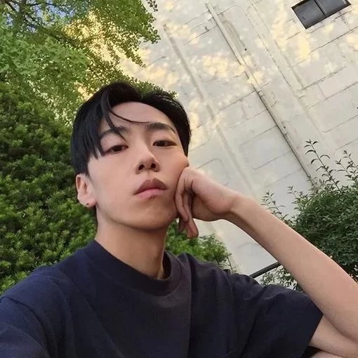 叶梦君莺