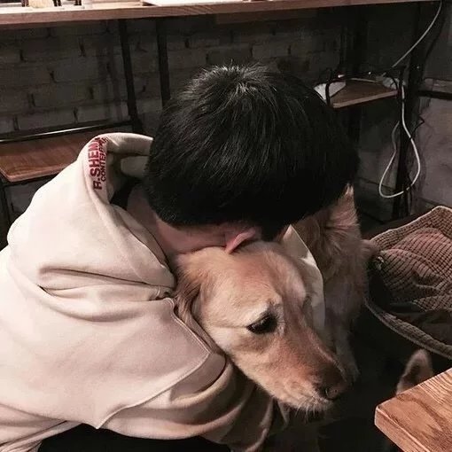 赵纯春雁