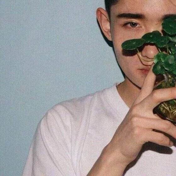 夏侯苑枝杰