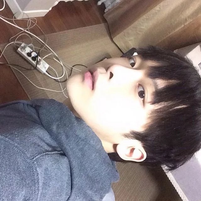 戚克舒紫